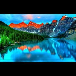 Meet your Posher, Talia